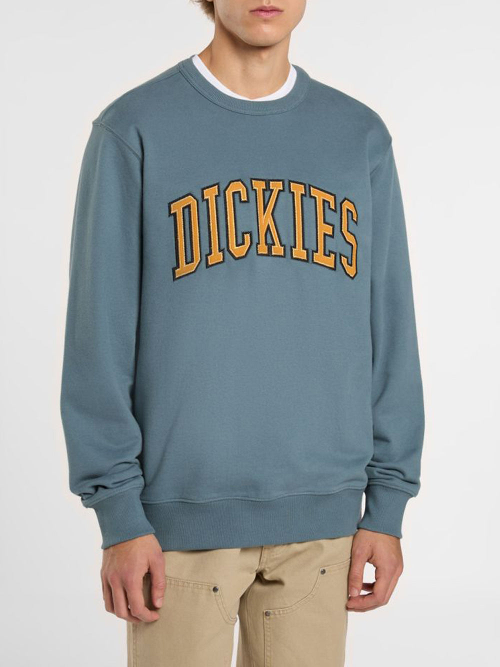 Felpa Dickies Aitkin da Uomo - Blu