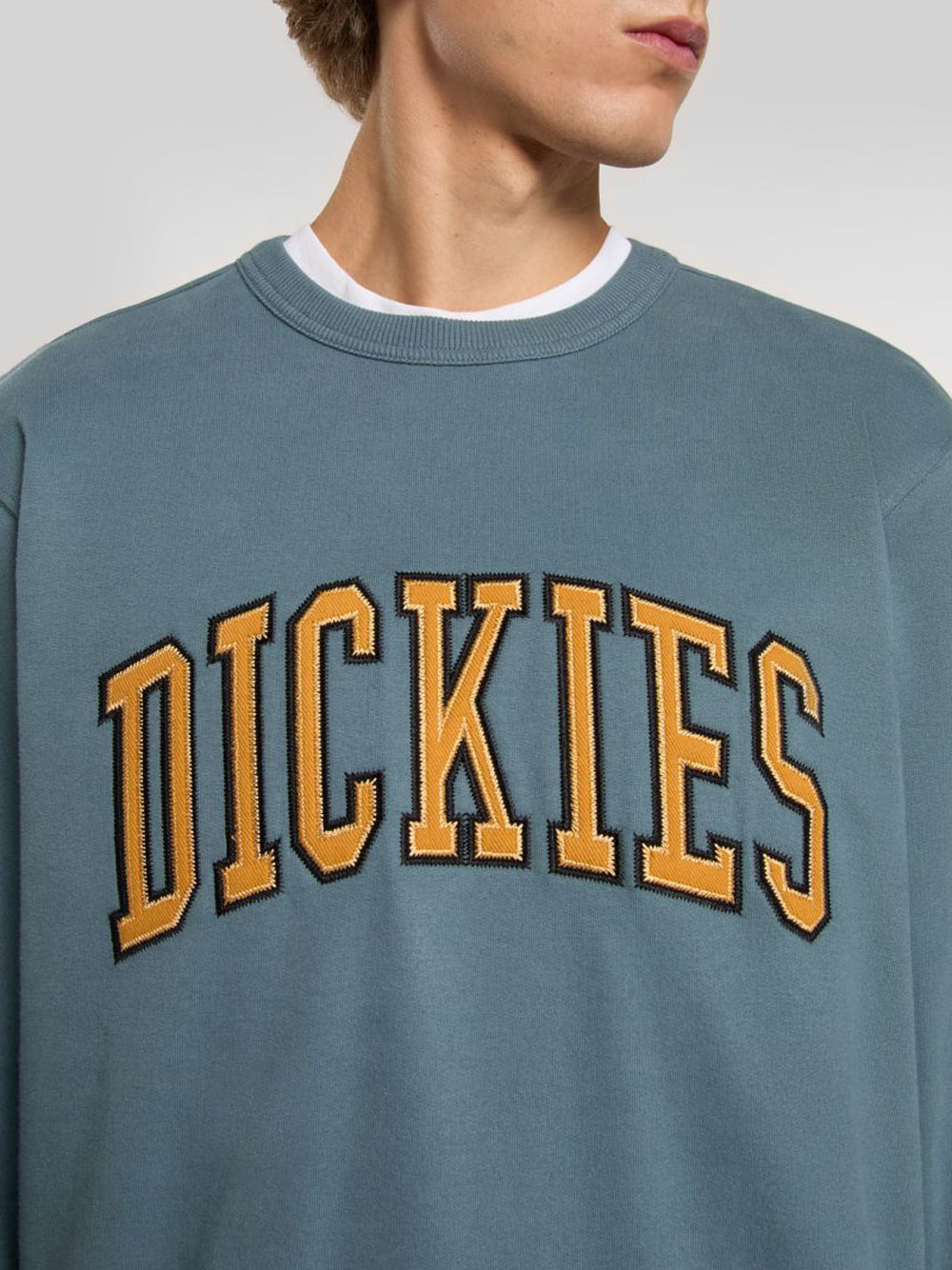 Felpa Dickies Aitkin da Uomo - Blu