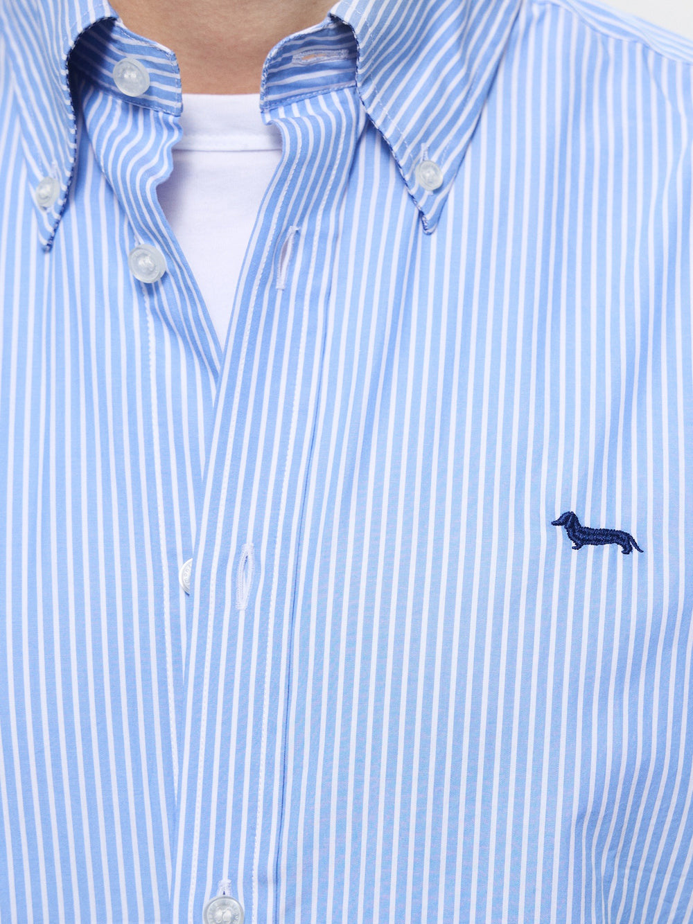 Camicia Classica Harmont & Blaine da Uomo - Celeste