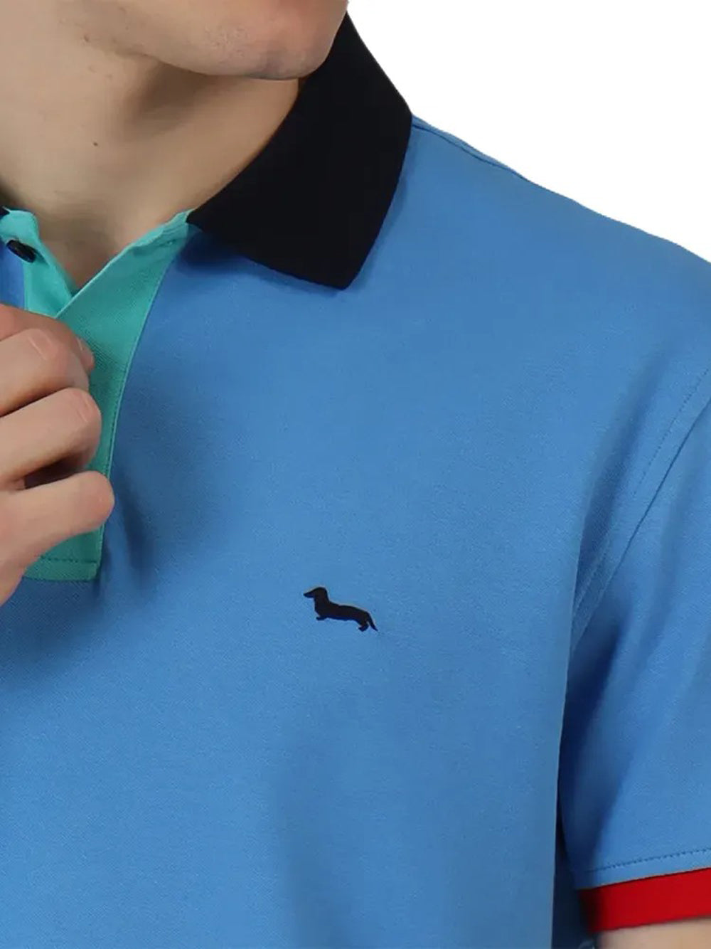 Polo Harmont & Blaine da Uomo - Blu