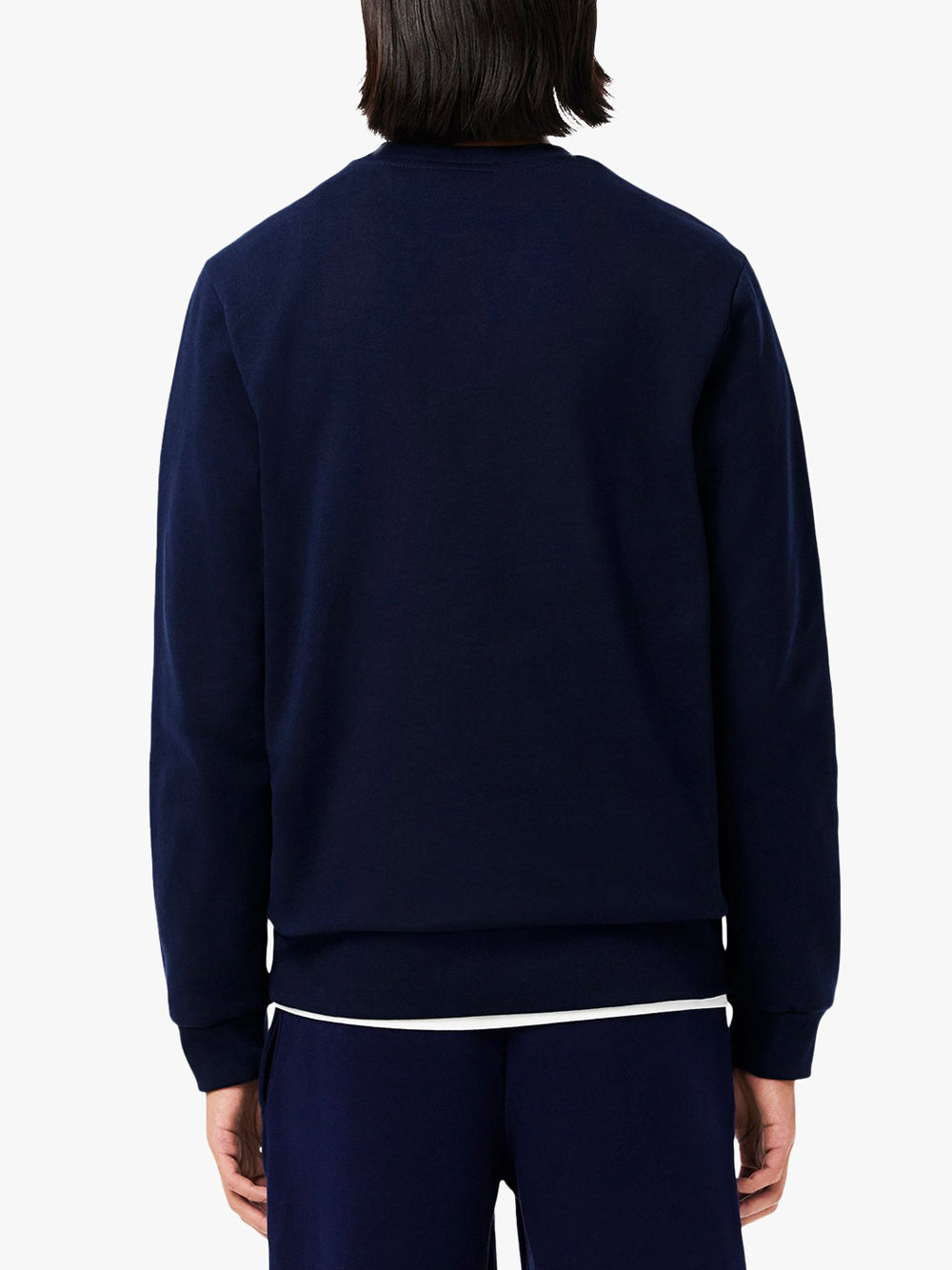 Felpa Lacoste da Uomo - Blu