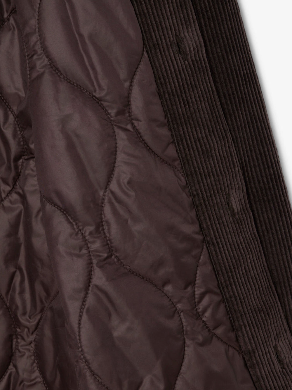 Giubbino Lacoste da Uomo - Marrone