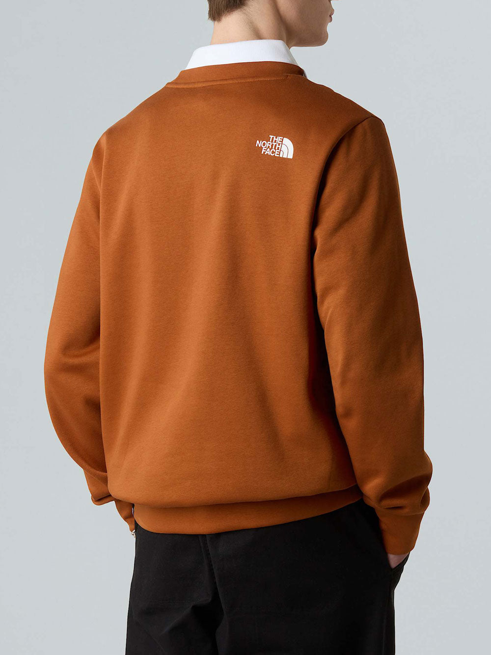 Felpa The North Face da Uomo - Marrone