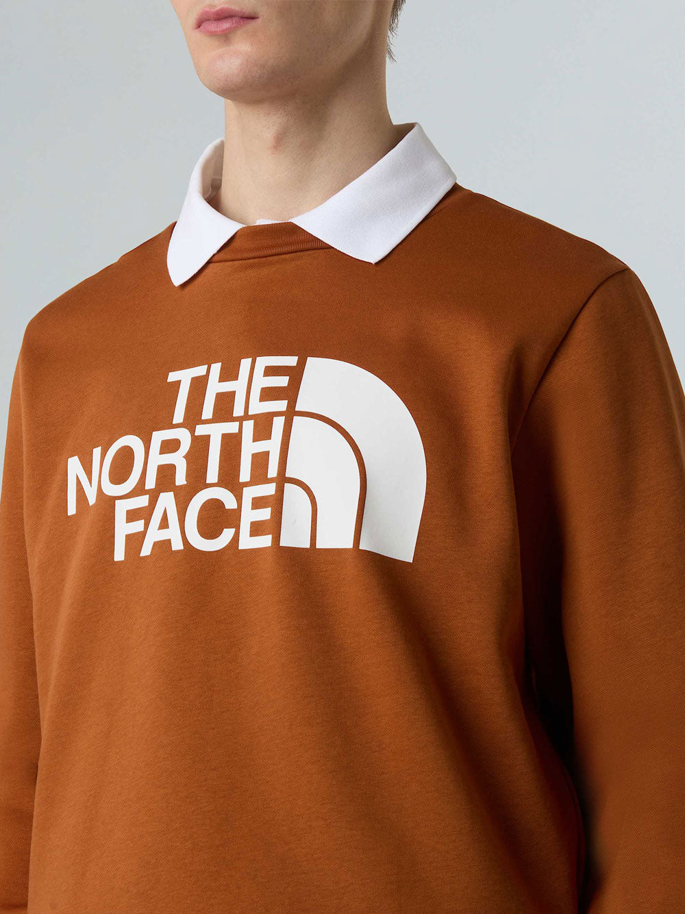 Felpa The North Face da Uomo - Marrone