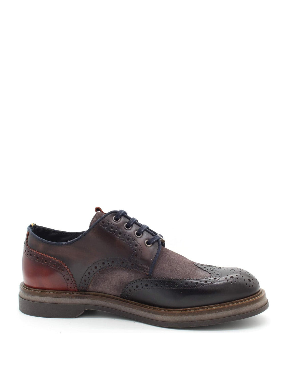 AMBITIOUS Scarpe Stringate duilio Uomo - Testa di moro modello 12391C-6811AM Marrone