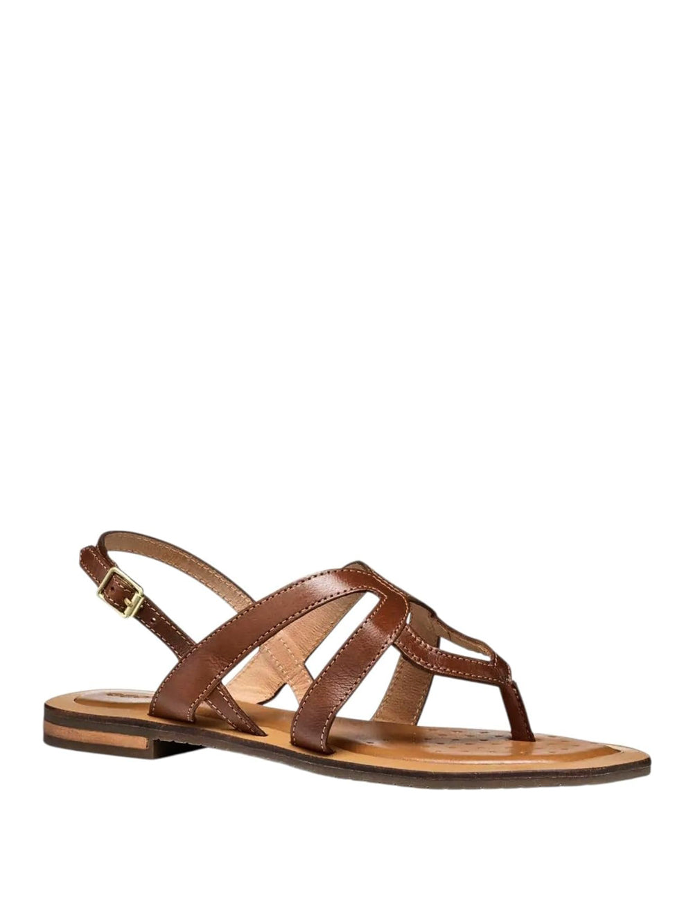 GEOX Sandali infradito Donna - Cuoio modello D55YFC0001J Marrone