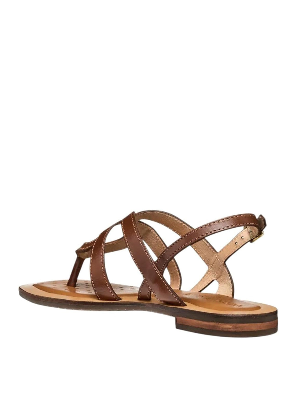 GEOX Sandali infradito Donna - Cuoio modello D55YFC0001J Marrone