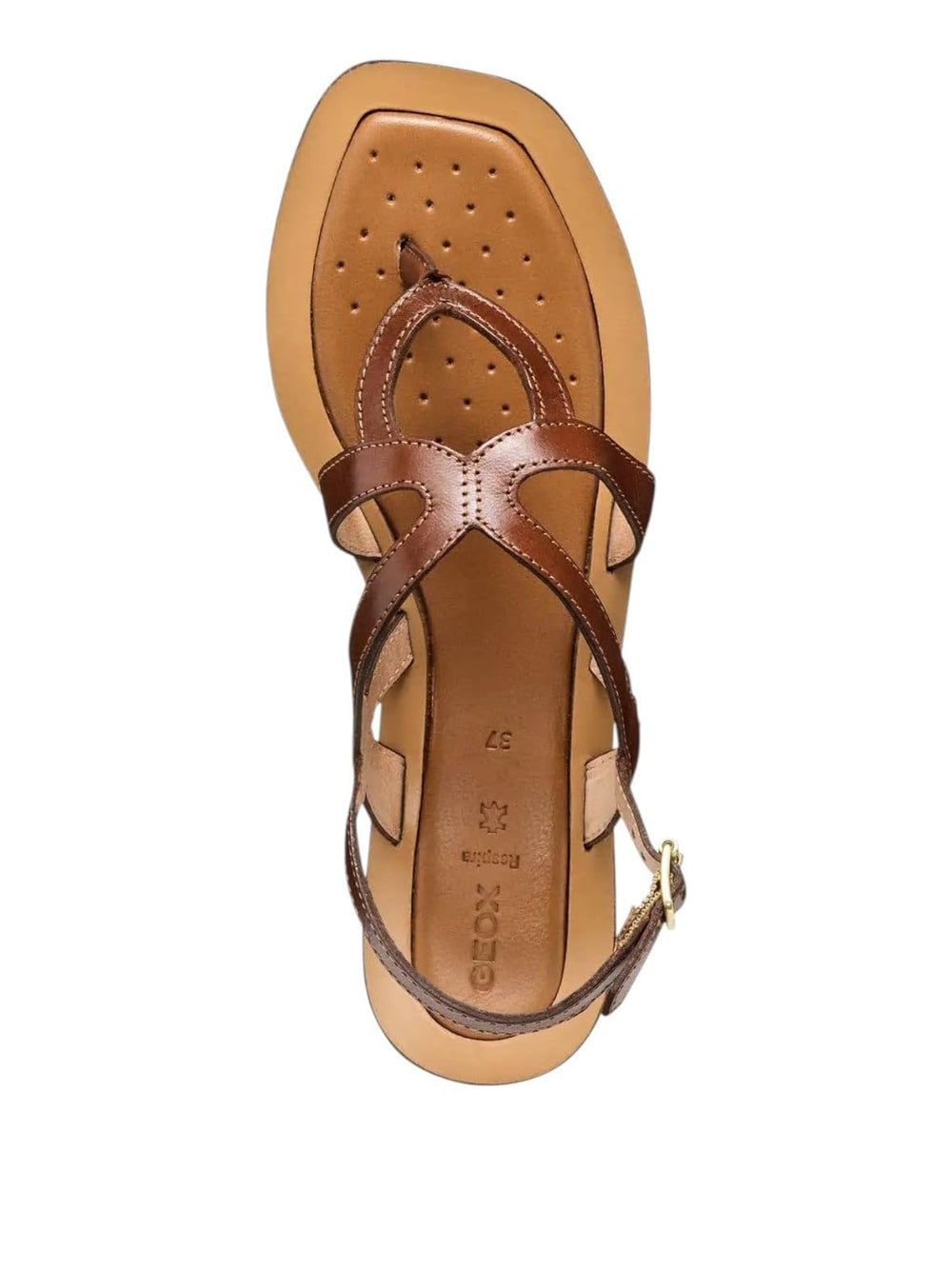 GEOX Sandali infradito Donna - Cuoio modello D55YFC0001J Marrone