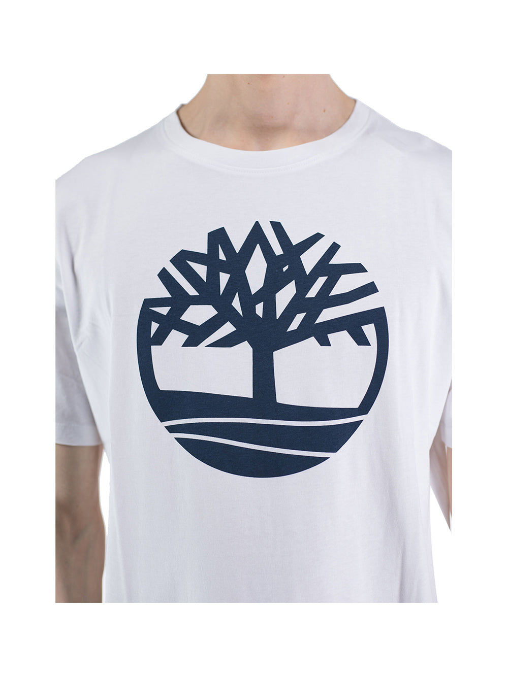 TIMBERLAND T-shirt Uomo - modello TB0A2C2R Bianco