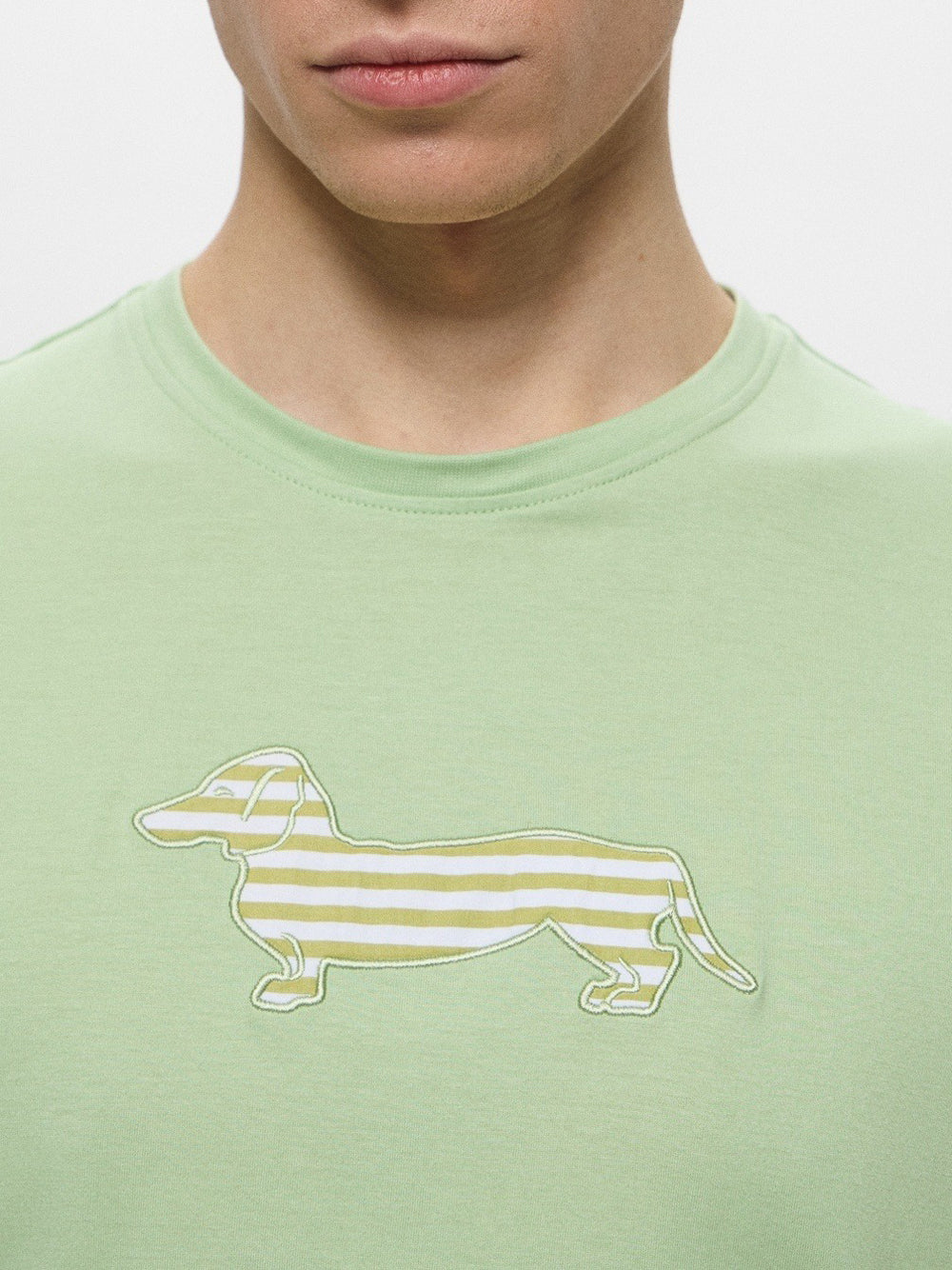 T-shirt Harmont & Blaine da Uomo - Verde