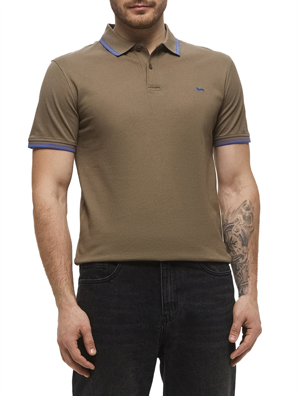Polo Harmont & Blaine da Uomo - Verde
