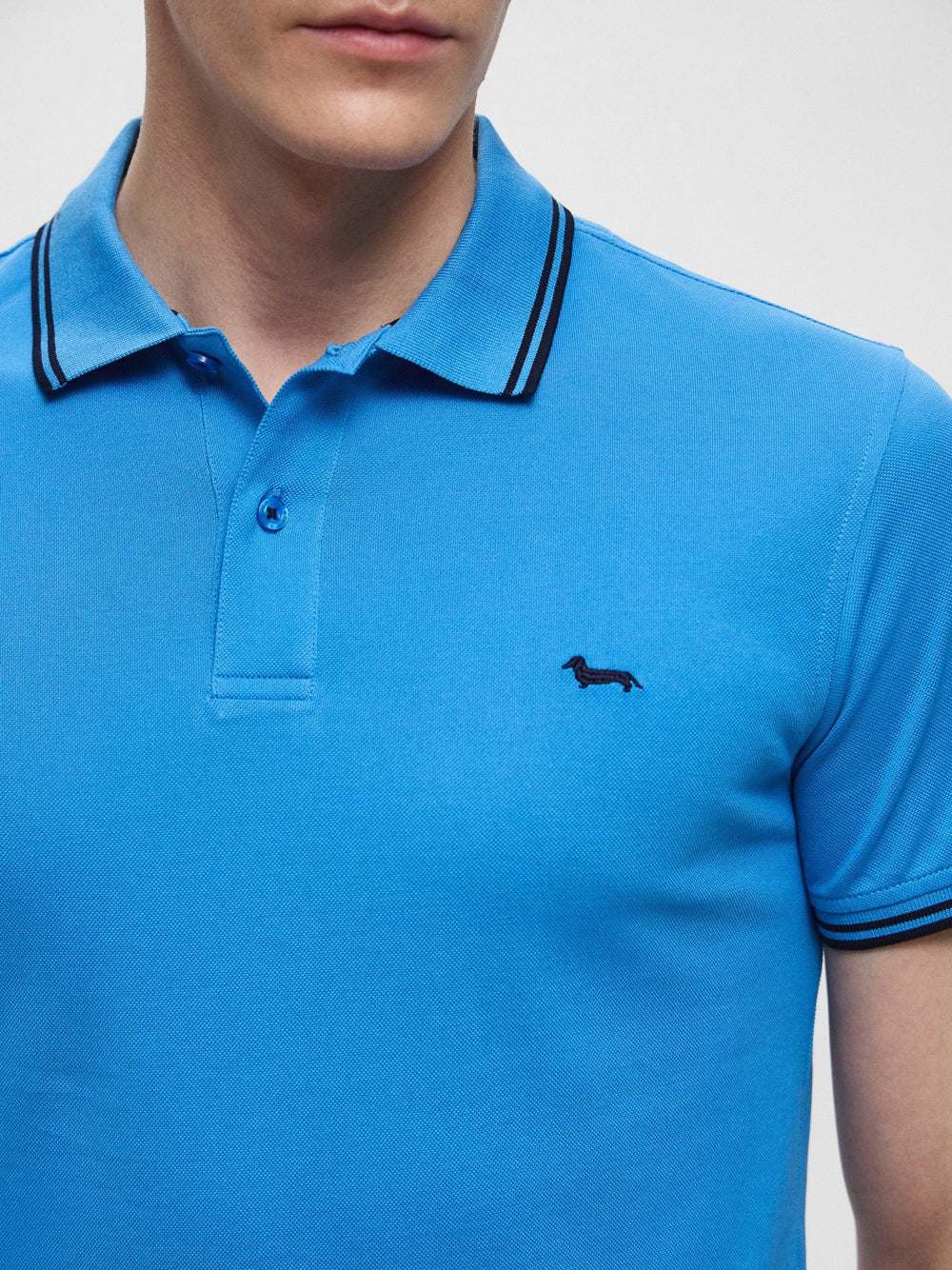 Polo Harmont & Blaine da Uomo - Blu