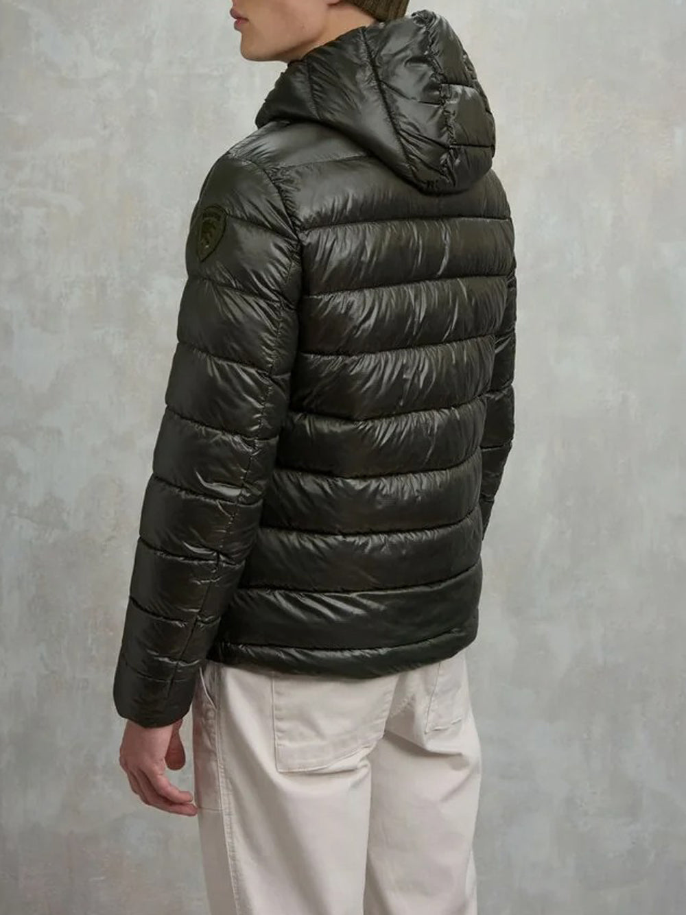 Blauer Giubbotto corto Mod. BLUC02079 005958 678 Verde