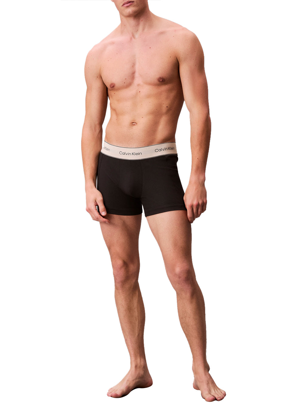 Calvin Klein Boxer Uomo Mod. LV00NB4446 3PACKTRUNK UB1 Nero