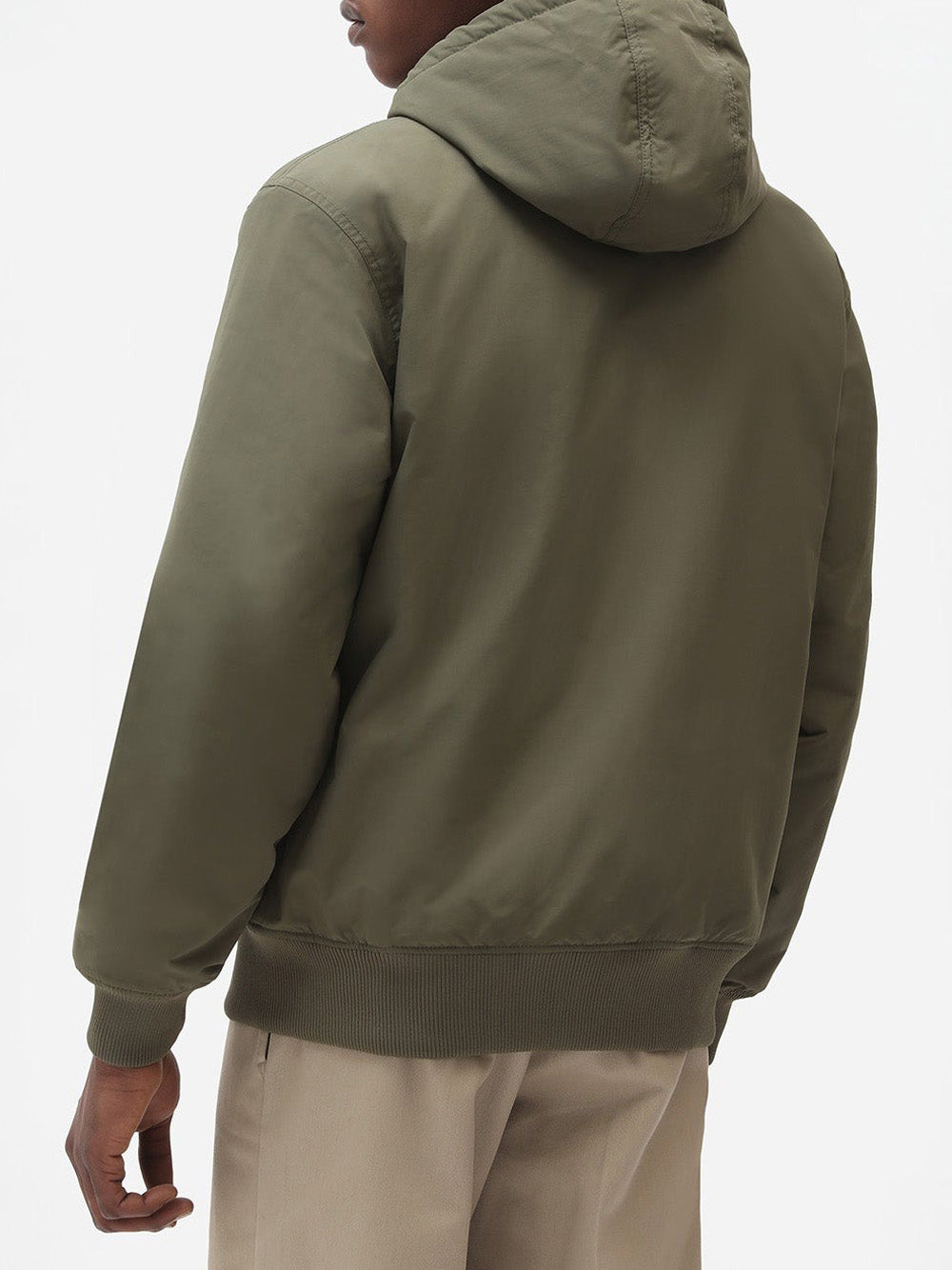 Giubbino Dickies New Sarpy da Uomo - Verde