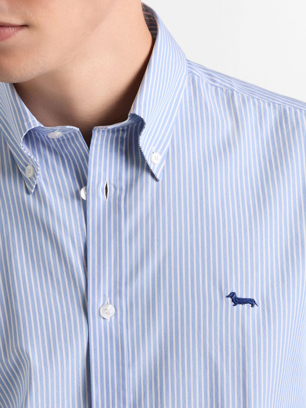 Camicia Classica Harmont & Blaine da Uomo - Celeste