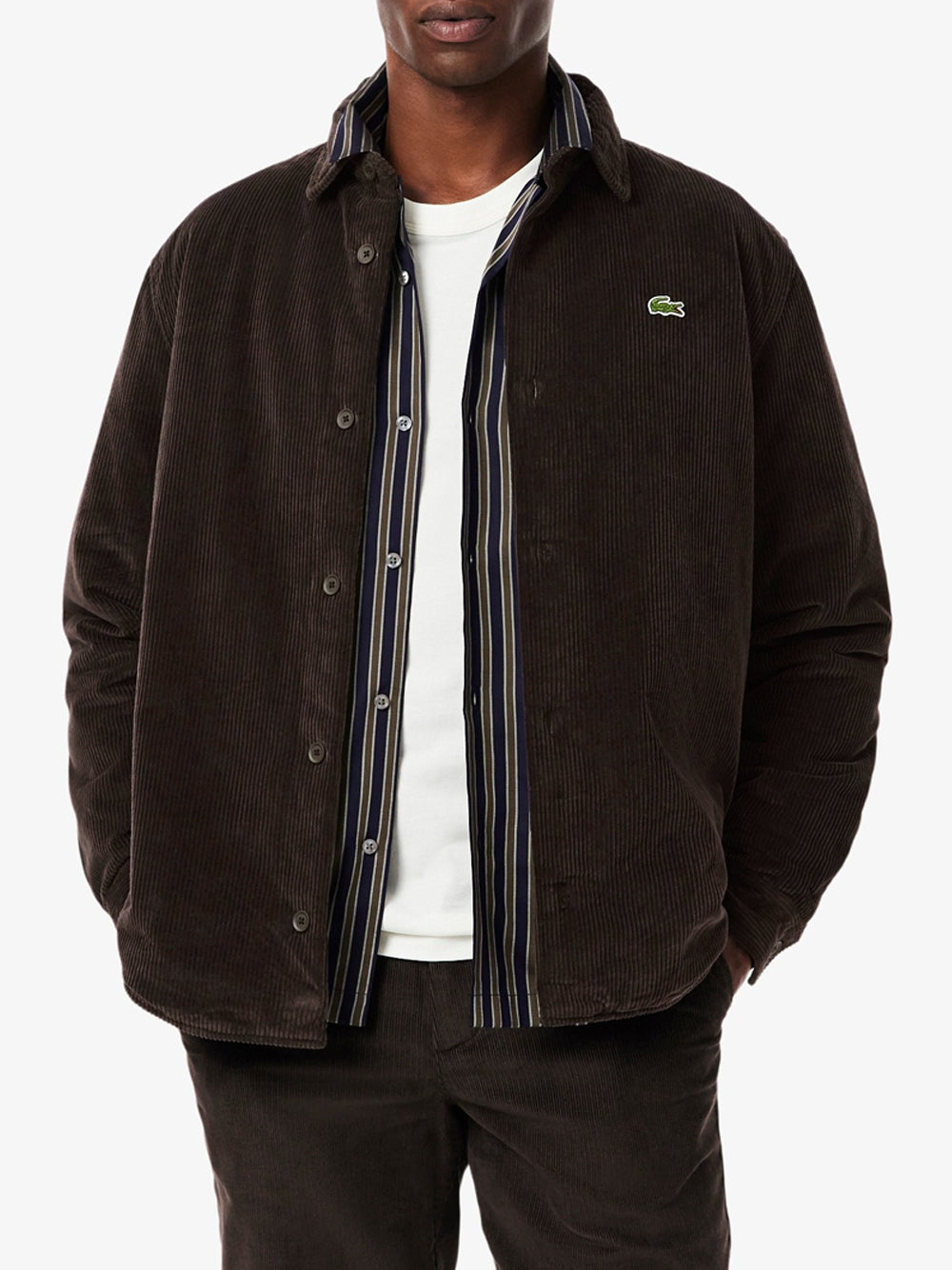 Giubbino Lacoste da Uomo - Marrone