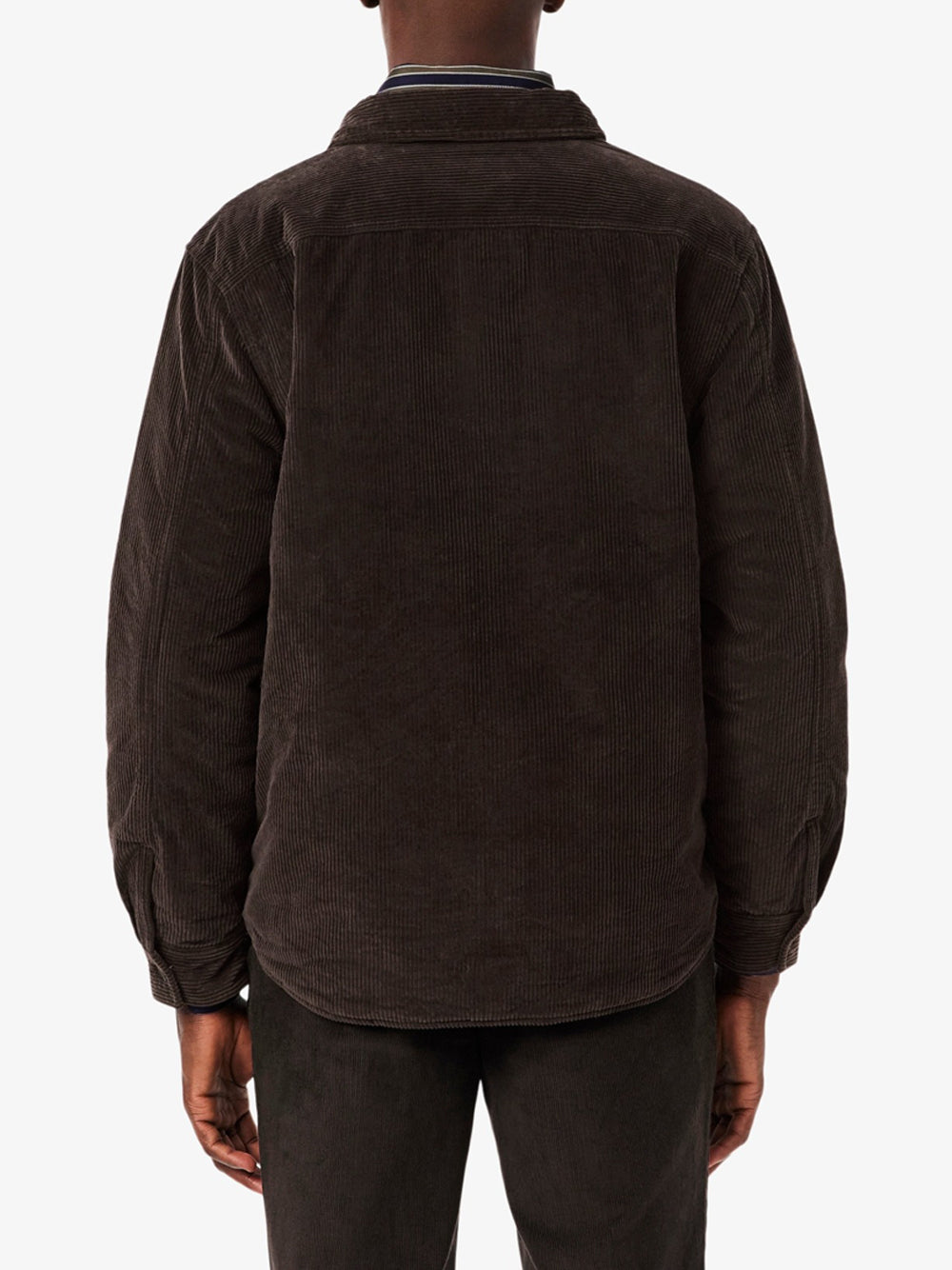 Giubbino Lacoste da Uomo - Marrone