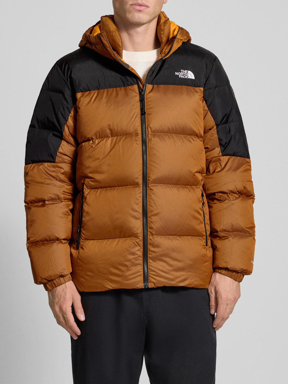 Piumino The North Face Diablo Down 2.0 da Uomo - Marrone