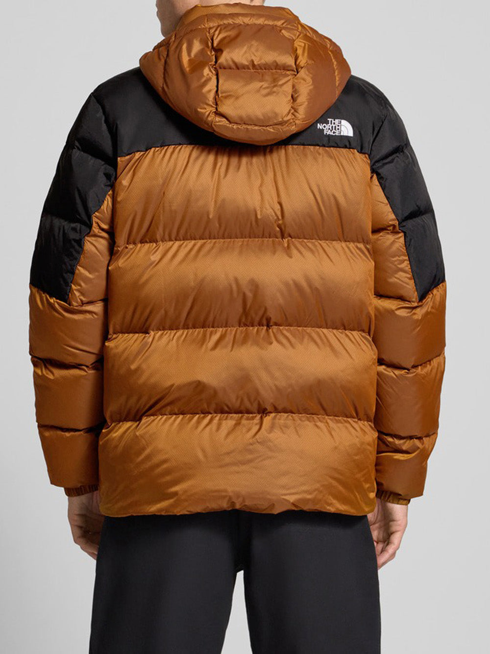 Piumino The North Face Diablo Down 2.0 da Uomo - Marrone