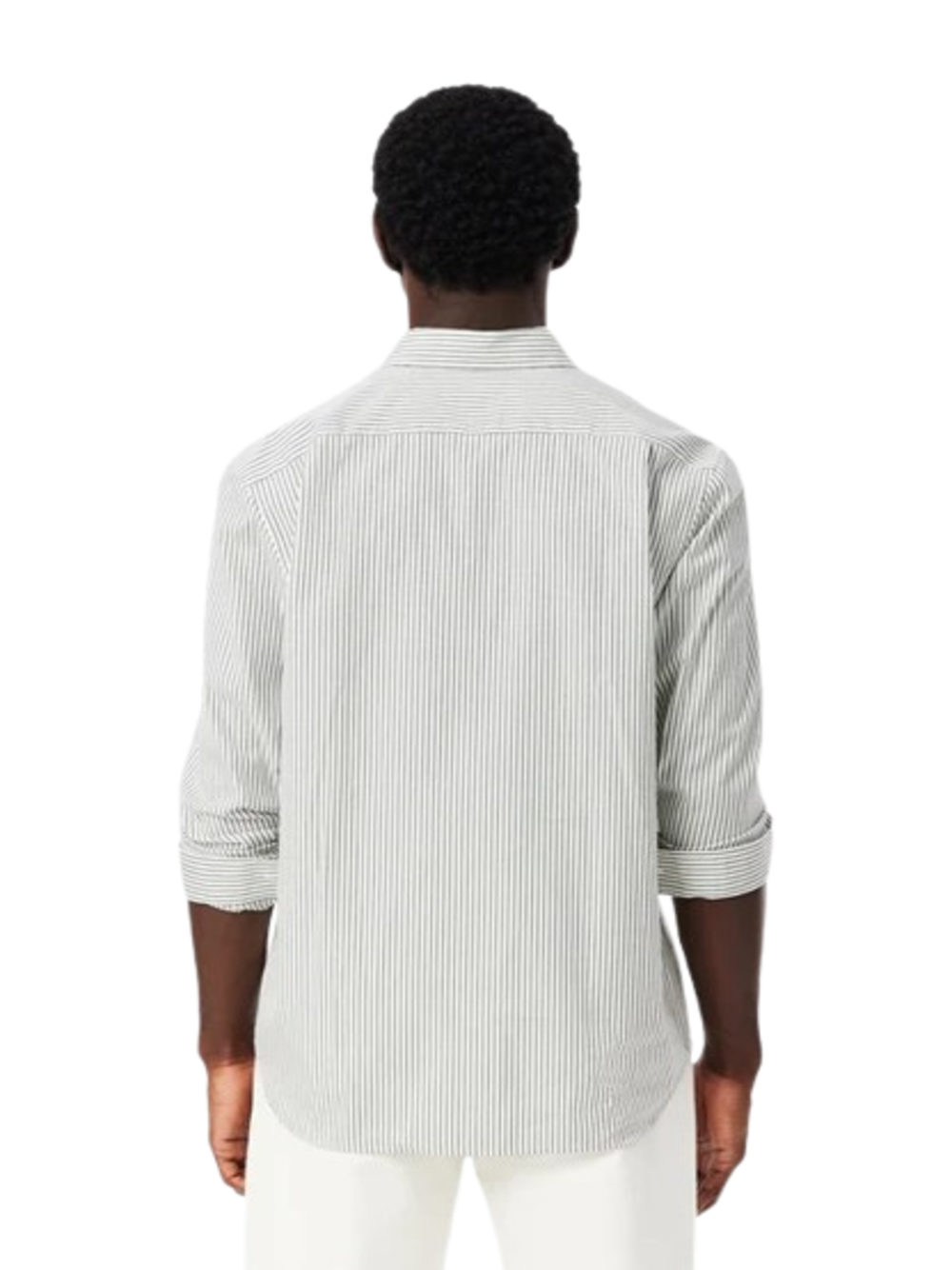 Lacoste Camicia m/l Uomo Mod. CH5084 POPELIN-RIG 324 Verde