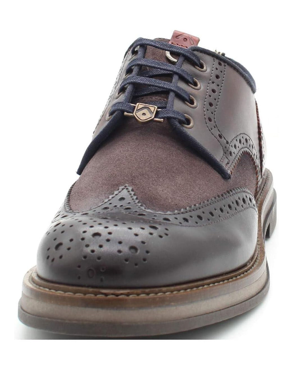 AMBITIOUS Scarpe Stringate duilio Uomo - Testa di moro modello 12391C-6811AM Marrone